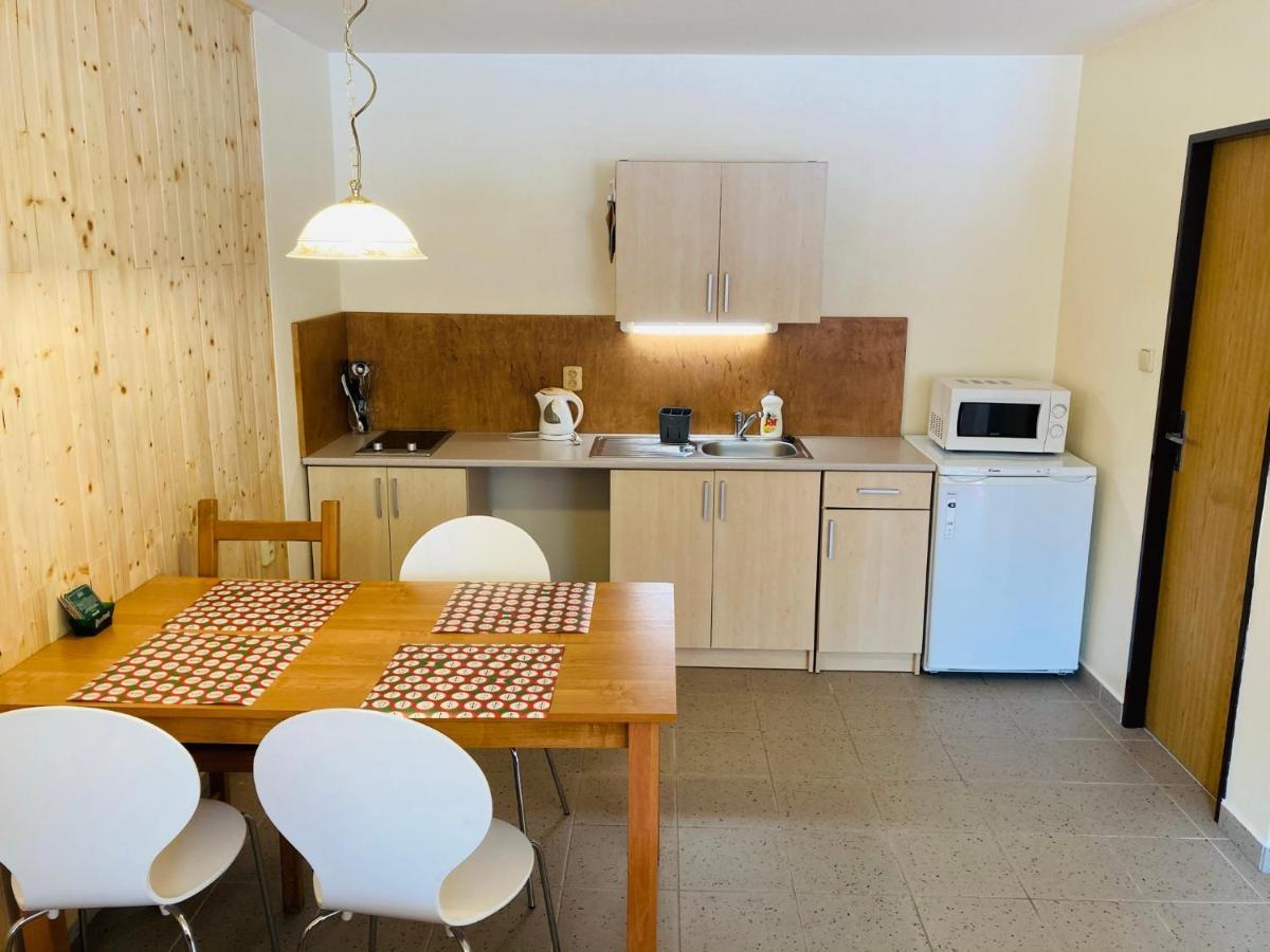 Apartamento Studia Pod Lysou Rokytnice nad Jizerou Exterior foto