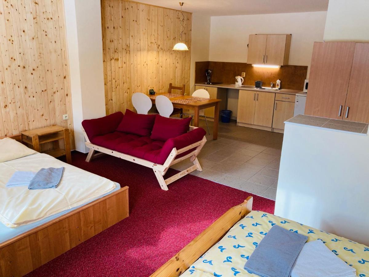 Apartamento Studia Pod Lysou Rokytnice nad Jizerou Exterior foto