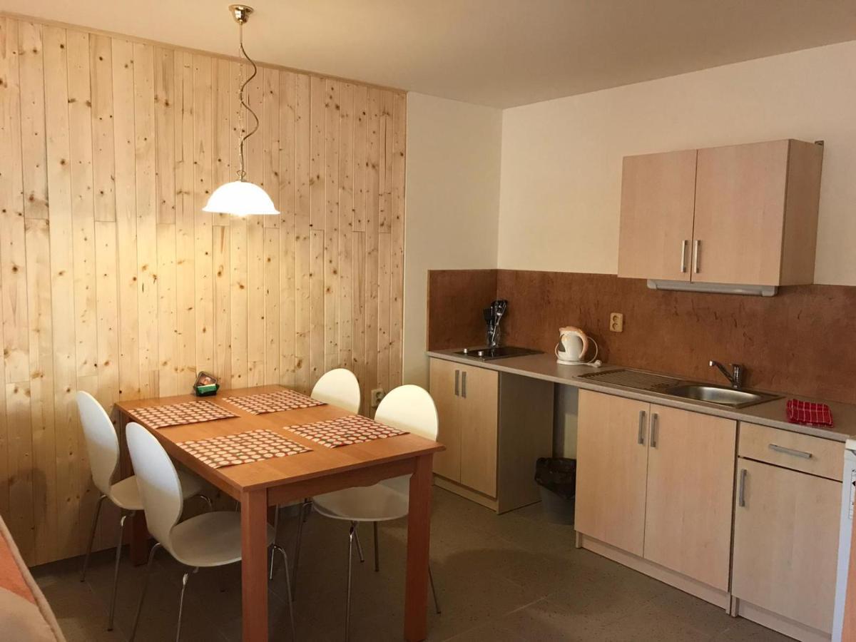 Apartamento Studia Pod Lysou Rokytnice nad Jizerou Exterior foto