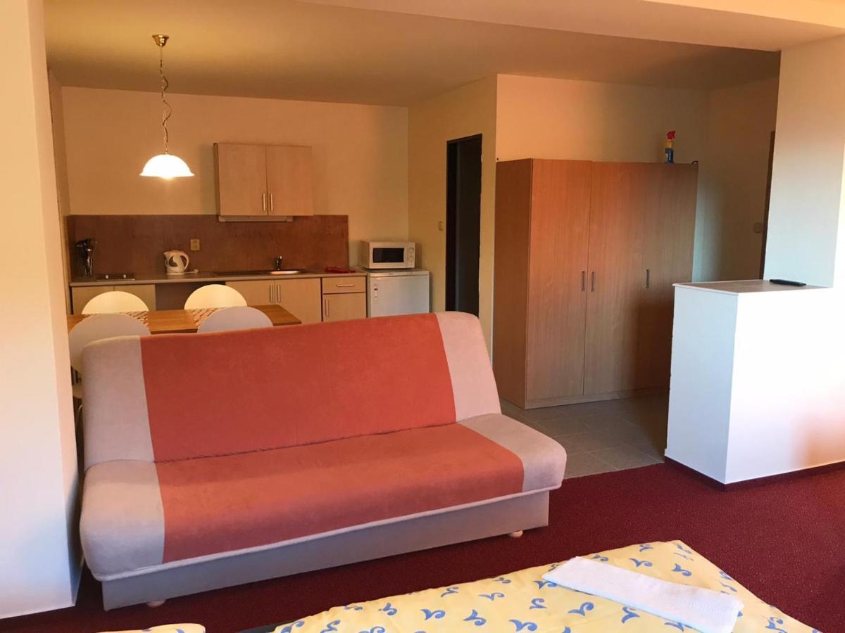 Apartamento Studia Pod Lysou Rokytnice nad Jizerou Exterior foto