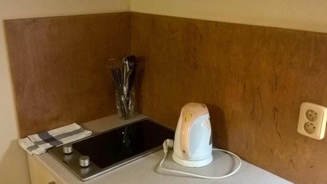 Apartamento Studia Pod Lysou Rokytnice nad Jizerou Exterior foto